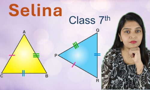 Congruency : Congruent Triangles