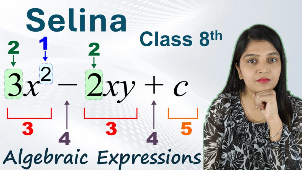 algebraic expressions class 8 selina