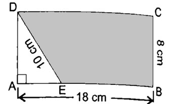 Perimeter & Area of Plane Figures