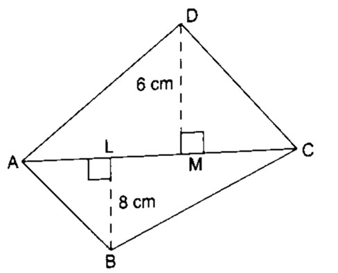 Perimeter & Area of Plane Figures
