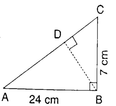 Area of Trapezium and a Polygon